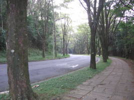 Ladeira da Rua do Matão (USP) - Cidade Universitária, São Paulo, SP - abr/2006