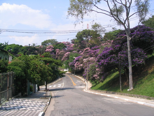 Praça Amadeu Decome - Quaresmeiras - Lapa, São Paulo, SP - fev/2006